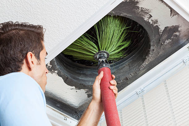 Best Ductwork Cleaning Services  in University Place, WA